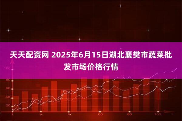 天天配资网 2025年6月15日湖北襄樊市蔬菜批发市场价格行情