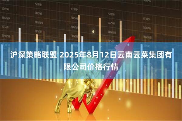 沪深策略联盟 2025年8月12日云南云菜集团有限公司价格行情
